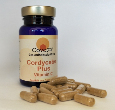 Cordycebs Plus